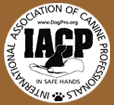 IACP member